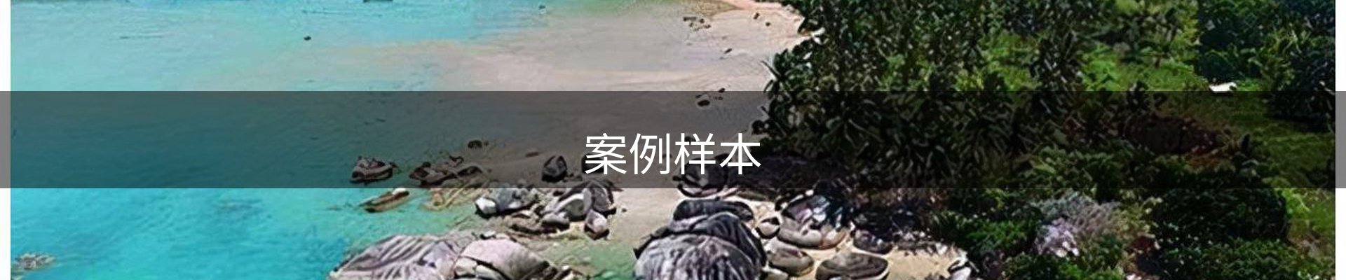 案例样本